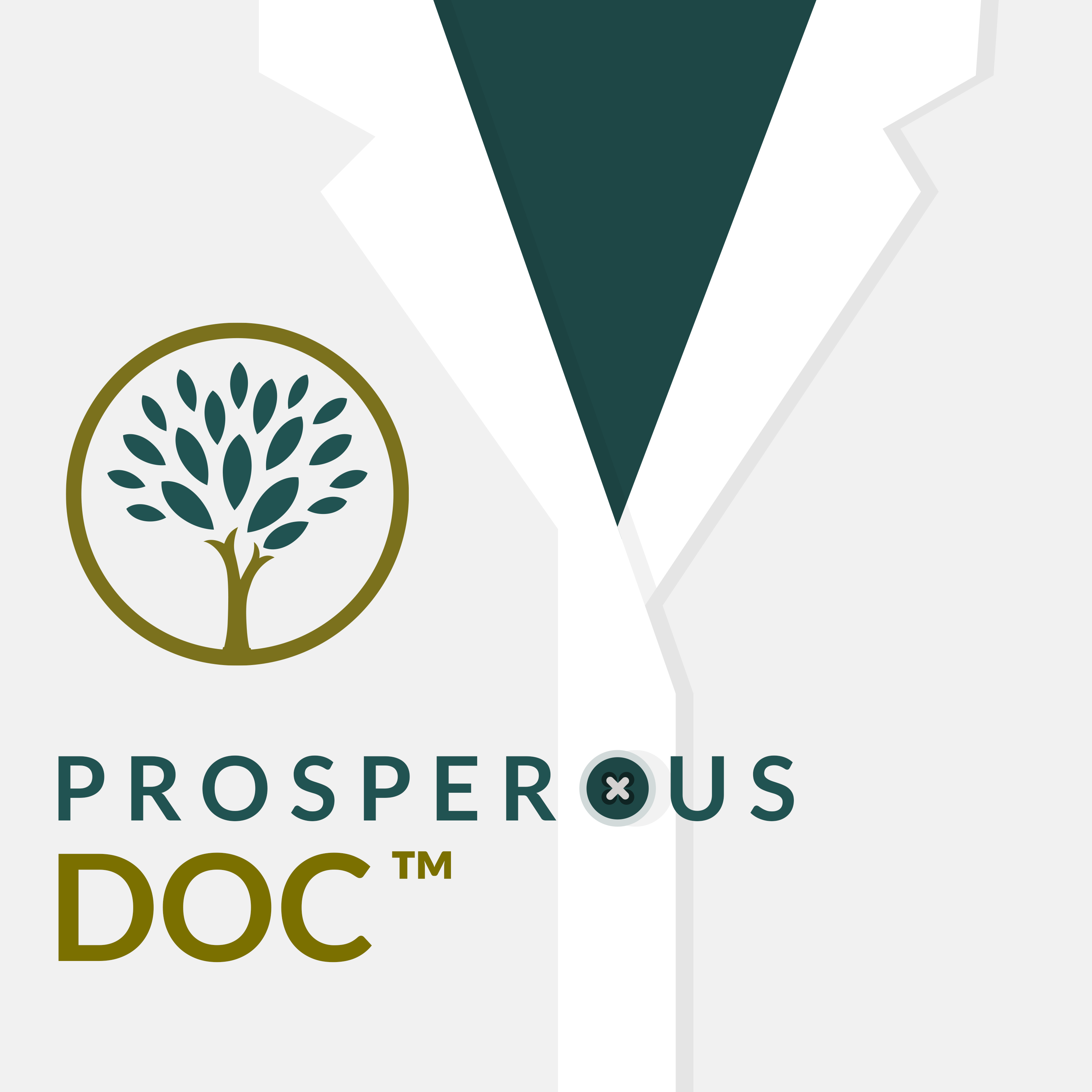 Prosperous Our Prosperous Life Examples Of Prosperous In A Sentence 